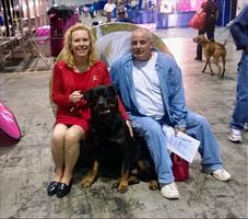After group win Eukanuba 2013 - Click for Larger View